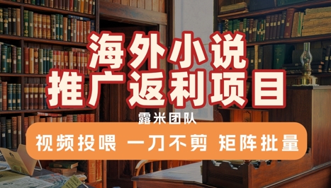 海外小说推广返利项目，视频投喂， 一刀不剪，矩阵批量-米秀网