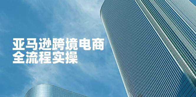 亚马逊跨境电商全流程实操，教你从零开始，掌握店铺运营与广告技巧-米秀网