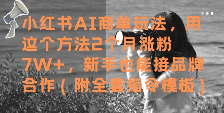 小红书AI商单玩法，用这个方法2个月涨粉7W+，新手也能接品牌合作(附全套指令模板)-米秀网