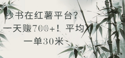 抄书在小红薯平台？平均一单30米，一天收益几张！-米秀网