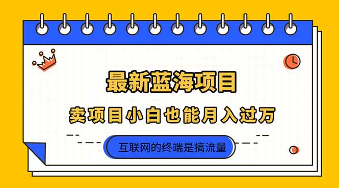 2025年最新蓝海项目，卖项目小白也能月入过万-米秀网
