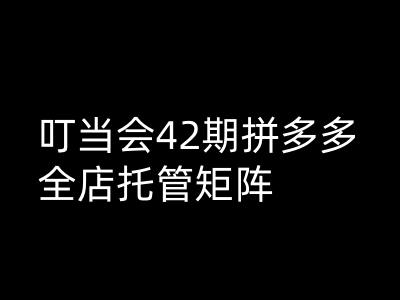 叮当会拼多多打爆班原创高阶技术第42期，拼多多全店托管矩阵-米秀网