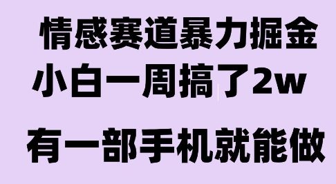 情感暴力掘金项目，新人操作一周挣了2W，长期稳定小白可做【揭秘】-米秀网