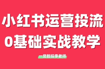 李老师·小红书运营投流，0基础实战教学(更新)-米秀网
