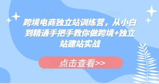 跨境电商独立站训练营，从小白到精通手把手教你做跨境+独立站建站实战-米秀网