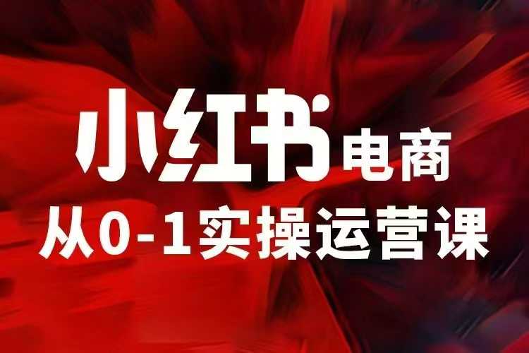 小红书电商运营，97节小红书vip内部课，带你实现小红书赚钱-米秀网