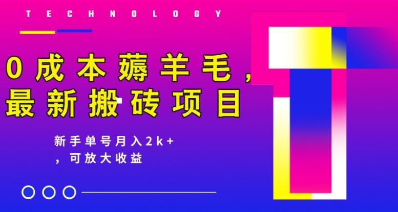 0成本薅羊毛，最新搬砖项目，新手单号月入2k+，可放大操作-米秀网