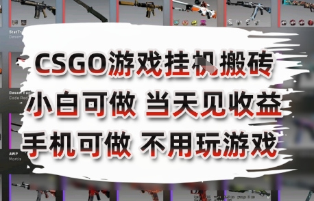 CSGO游戏挂G搬砖，小白纯手机即可操作，不用电脑打游戏，日入3张+，副业网创项目【揭秘】-米秀网