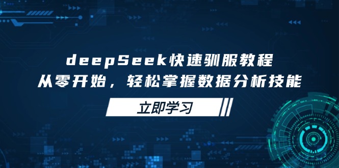 deepSeek快速驯服教程，从零开始，轻松掌握数据分析技能-米秀网