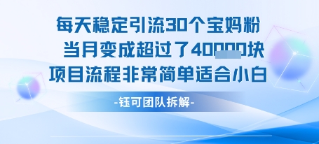 每天稳定引流30个人 当月变成超过了4个W项目流程非常简单适合小白-米秀网