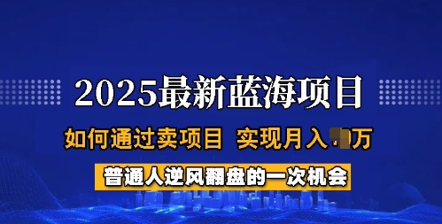 2025蓝海项目，普通人如何通过卖项目，实现月入过W，全过程【揭秘】-米秀网