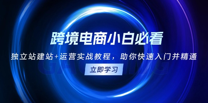 跨境电商小白必看！独立站建站+运营实战教程，助你快速入门并精通-米秀网