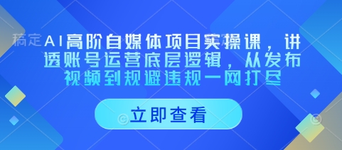 AI高阶自媒体项目实操课，讲透账号运营底层逻辑，从发布视频到规避违规一网打尽-米秀网