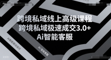 跨境私域线上高级课程，跨境私域极速成交3.0+Ai智能客服-米秀网