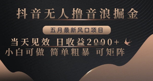 抖音无人撸音浪掘金，五月最新风口项目，当天见效，日收益多张，小白可做简单粗暴可矩阵【揭秘】-米秀网