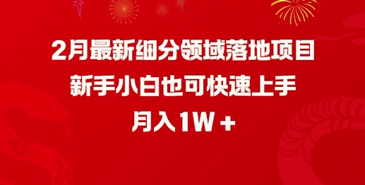 2月最新细分领域落地项目，新手小白也可快速上手，月入1W-米秀网