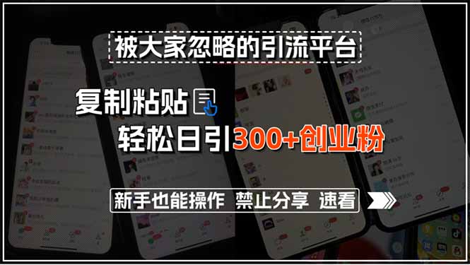 被大家忽略的引流平台，复制粘贴轻松日引300+创业粉，新手也能操作，禁…-米秀网