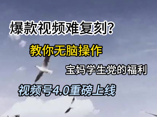 视频号4.0重磅上线，爆款视频难复刻？教你无脑操作宝妈学生党的福利【揭秘】-米秀网