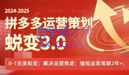 大力老师·2024拼多多运营策略蜕变3.0-米秀网