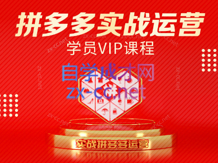 推易电商·拼多多实战运营课(更新2025月)-米秀网