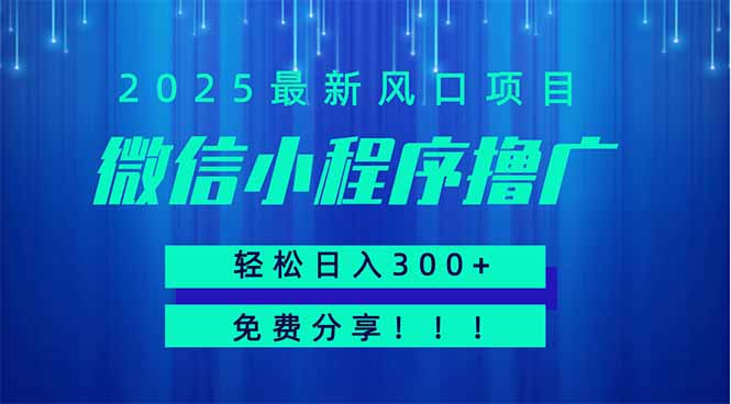 微信小程序撸广，最新风口项目，日入300+ 免费分享 可批量操作 小白可…-米秀网