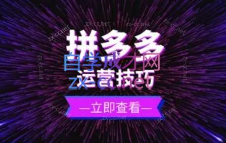 力辛电商·拼多多强付费店群玩法-米秀网
