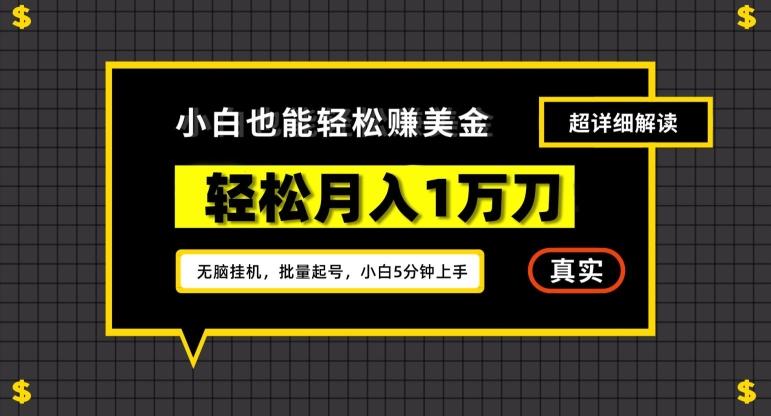 谷歌看广告撸美金2.0，无脑挂机，多号操作，月入1万刀【揭秘】-米秀网