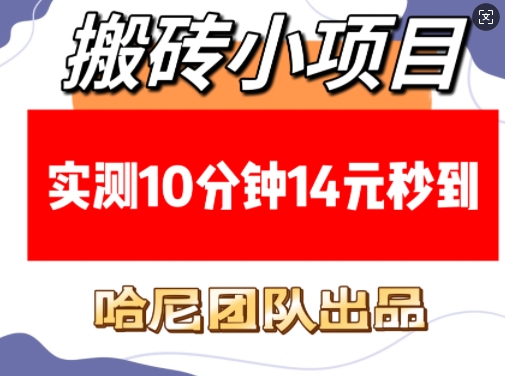 搬砖小项目，实测10分钟14元秒到，每天稳定几张(赠送必看稳定)-米秀网