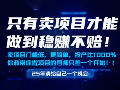 只有卖项目才能做到稳挣不赔，门槛低，更简单，你也可以年入百个W【揭秘】-米秀网