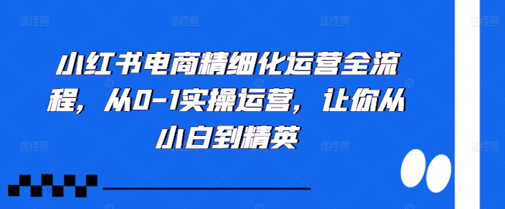 小红书电商精细化运营全流程，从0-1实操运营，让你从小白到精英-米秀网