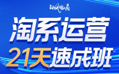 白凤电商·淘系运营21天速成班(更新3月)-米秀网