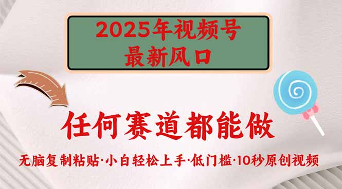 2025年视频号新风口，低门槛只需要无脑执行-米秀网