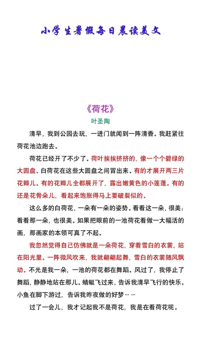 小学生暑假每日晨读美文：叶圣陶《荷花》-小升初语文-米秀网