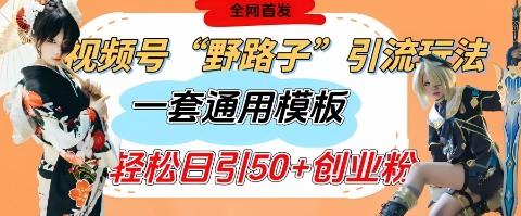 视频号“野路子”玩法，评论区疯狂截流，一套模板单日单号引流50+创业粉-米秀网