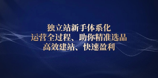 独立站新手体系化 运营全过程，助你精准选品、高效建站、快速盈利-米秀网