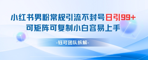 小红书男粉常规引流不封号日引99+变现简单 可矩阵可复制小白容易上手-米秀网
