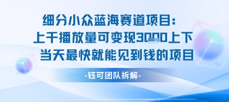 小众蓝海赛道项目：当天变现1k+适合新手操作 +适合长期玩-米秀网