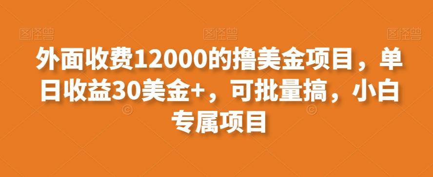 外面收费12000的撸美金项目，单日收益30美金+，可批量搞，小白专属项目-米秀网