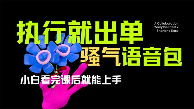 爆火全网的开车导航骚气语音包,只要执行就出单，小白看完课程就能实操…-米秀网