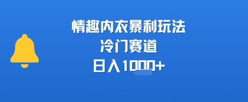 情趣内衣暴利玩法，冷门赛道，日入1k+-米秀网