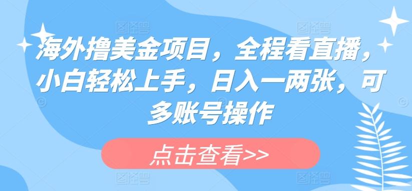 海外撸美金项目，全程看直播，小白轻松上手，日入一两张，可多账号操作【揭秘】-米秀网