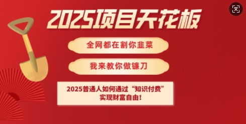 2025项目天花板普通人如何通过知识付费，实现财F自由【揭秘】-米秀网